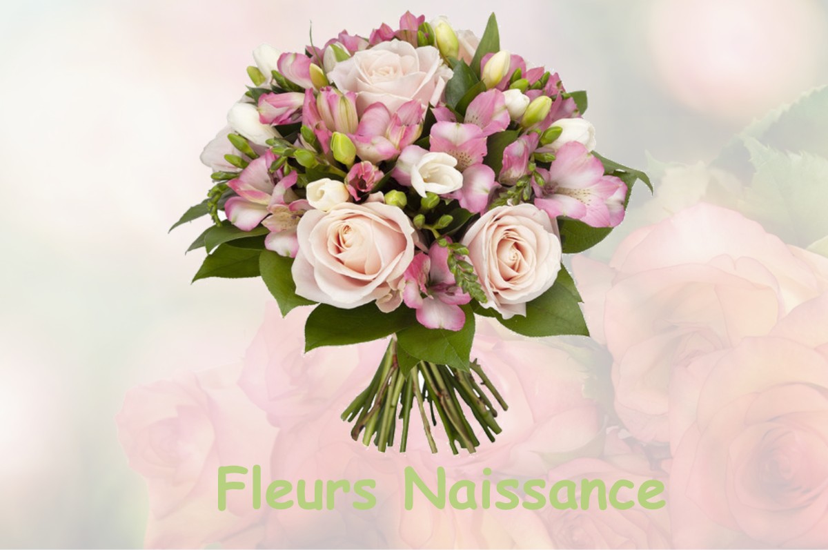 fleurs naissance AUREVILLE