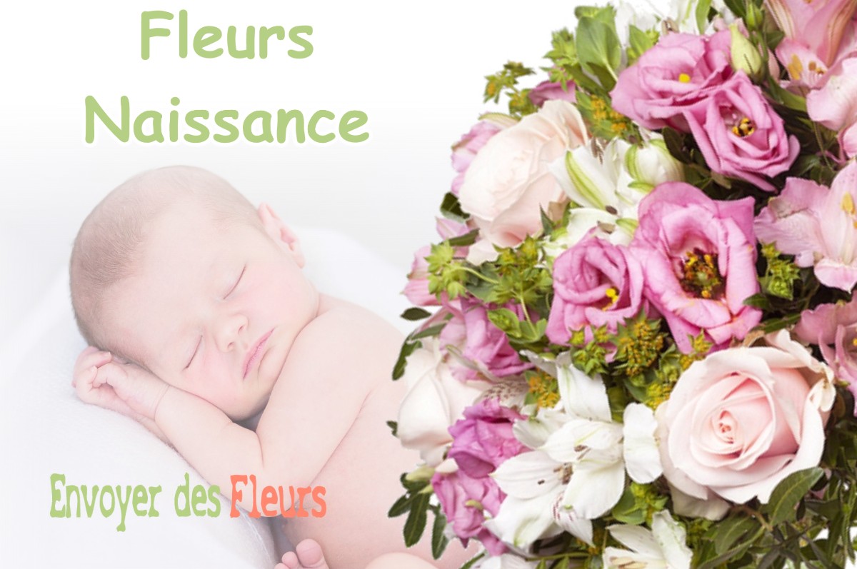 lIVRAISON FLEURS NAISSANCE à AUREVILLE